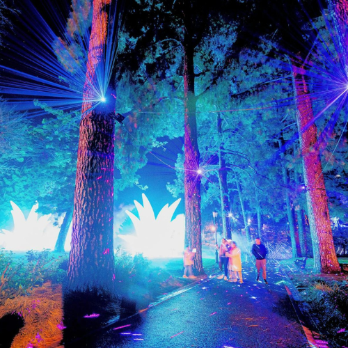 Electric Wonderland