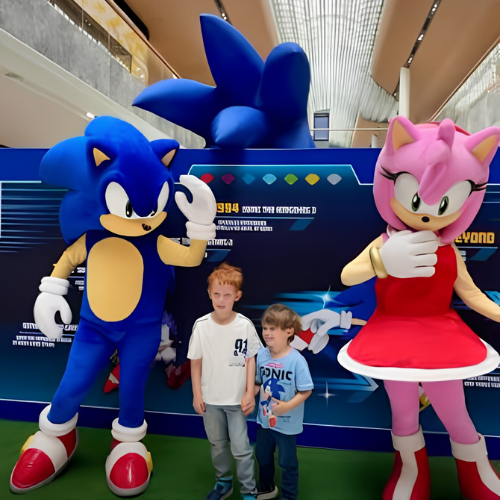 Meet Sonic & Amy Rose