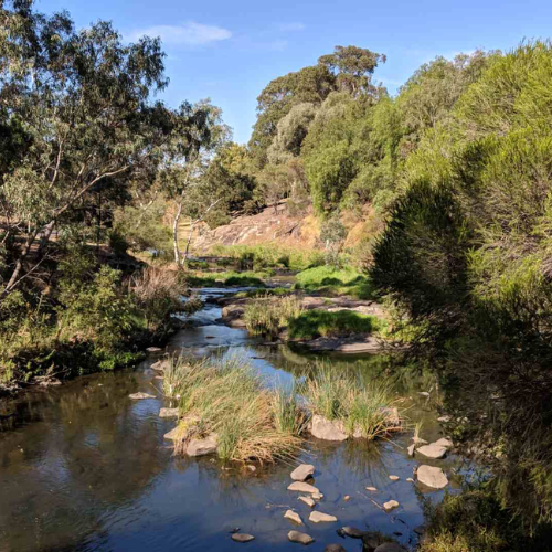 Merri Creek Trail