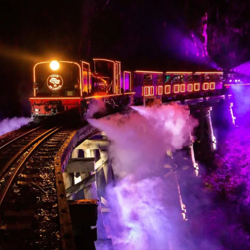 Puffing Billy Railway's Train of Lights