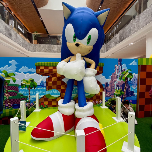 Sonic the Hedgehog Activity Zone