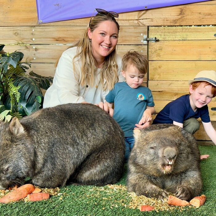 The Funky Farm Mornington peninsula unique